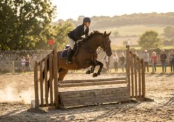 Se lancer dans un concours d&rsquo;équitation : ce qu&rsquo;il faut savoir avant de sauter le pas